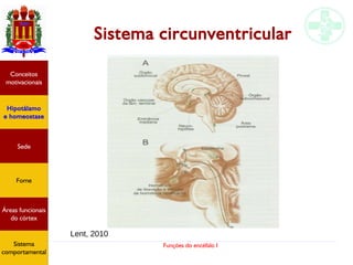Funções do encéfalo I
Hipotálamo
e homeostase
Conceitos
motivacionais
Áreas funcionais
do córtex
Sede
Fome
Sensação e
percepção
Controle
motor
Sistema
comportamental
Sistema circunventricular
Lent, 2010
Hipotálamo
e homeostase
Conceitos
motivacionais
Áreas funcionais
do córtex
Sede
Fome
Sistema
comportamental
 