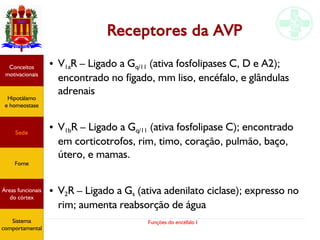 Funções do encéfalo I
Receptores da AVP
● V1aR – Ligado a Gq/11 (ativa fosfolipases C, D e A2);
encontrado no fígado, mm liso, encéfalo, e glândulas
adrenais
● V1bR – Ligado a Gq/11 (ativa fosfolipase C); encontrado
em corticotrofos, rim, timo, coração, pulmão, baço,
útero, e mamas.
● V2R – Ligado a Gs (ativa adenilato ciclase); expresso no
rim; aumenta reabsorção de água
Hipotálamo
e homeostase
Conceitos
motivacionais
Áreas funcionais
do córtex
Sede
Fome
Sensação e
percepção
Controle
motor
Sistema
comportamental
Hipotálamo
e homeostase
Conceitos
motivacionais
Áreas funcionais
do córtex
Sede
Fome
Sistema
comportamental
 