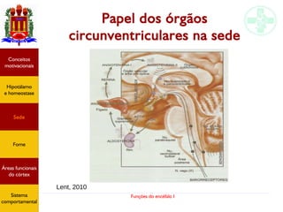 Funções do encéfalo I
Papel dos órgãos
circunventriculares na sede
Hipotálamo
e homeostase
Conceitos
motivacionais
Áreas funcionais
do córtex
Sede
Fome
Sensação e
percepção
Controle
motor
Sistema
comportamental
Lent, 2010
Hipotálamo
e homeostase
Conceitos
motivacionais
Áreas funcionais
do córtex
Sede
Fome
Sistema
comportamental
 