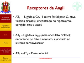 Funções do encéfalo I
Receptores da AngII
● AT1 – Ligado a Gq/11 (ativa fosfolipase C, ativa
tirosina cinases); encontrado no hipotálamo,
coração, rins e vasos
● AT2 – Ligado a Gi2/3 (inibe adenilato ciclase);
encontado no feto e neonato, associado ao
sistema cardiovascular
● AT3 e AT4 – Desconhecido
Hipotálamo
e homeostase
Conceitos
motivacionais
Áreas funcionais
do córtex
Sede
Fome
Sensação e
percepção
Controle
motor
Sistema
comportamental
Hipotálamo
e homeostase
Conceitos
motivacionais
Áreas funcionais
do córtex
Sede
Fome
Sistema
comportamental
 