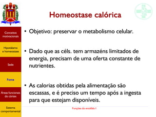 Funções do encéfalo I
Homeostase calórica
●
Objetivo: preservar o metabolismo celular.
●
Dado que as céls. tem armazéns limitados de
energia, precisam de uma oferta constante de
nutrientes.
●
As calorias obtidas pela alimentação são
escassas, e é preciso um tempo após a ingesta
para que estejam disponíveis.
Hipotálamo
e homeostase
Conceitos
motivacionais
Áreas funcionais
do córtex
Sede
Fome
Sensação e
percepção
Controle
motor
Sistema
comportamental
Hipotálamo
e homeostase
Conceitos
motivacionais
Áreas funcionais
do córtex
Sede
Fome
Sistema
comportamental
 