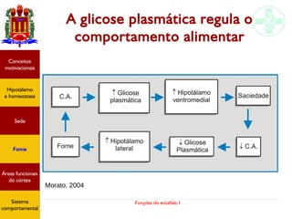 Funções do encéfalo I
A glicose plasmática regula o
comportamento alimentar
Morato, 2004
Hipotálamo
e homeostase
Conceitos
motivacionais
Áreas funcionais
do córtex
Sede
Fome
Sensação e
percepção
Controle
motor
Sistema
comportamental
Hipotálamo
e homeostase
Conceitos
motivacionais
Áreas funcionais
do córtex
Sede
Fome
Sistema
comportamental
 