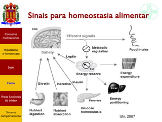 Funções do encéfalo I
Sinais para homeostasia alimentar
Hipotálamo
e homeostase
Conceitos
motivacionais
Áreas funcionais
do córtex
Sede
Fome
Sensação e
percepção
Controle
motor
Sistema
comportamental Shi, 2007
Hipotálamo
e homeostase
Conceitos
motivacionais
Áreas funcionais
do córtex
Sede
Fome
Sistema
comportamental
 