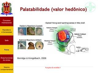 Funções do encéfalo I
Palatabilidade (valor hedônico)
Hipotálamo
e homeostase
Conceitos
motivacionais
Áreas funcionais
do córtex
Sede
Fome
Sensação e
percepção
Controle
motor
Sistema
comportamental
Berridge & Kringelbach, 2008
Hipotálamo
e homeostase
Conceitos
motivacionais
Áreas funcionais
do córtex
Sede
Fome
Sistema
comportamental
 