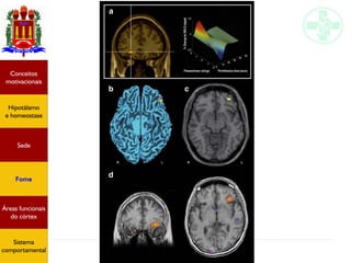 Funções do encéfalo I
Hipotálamo
e homeostase
Conceitos
motivacionais
Áreas funcionais
do córtex
Sede
Fome
Sensação e
percepção
Controle
motor
Sistema
comportamental
Hipotálamo
e homeostase
Conceitos
motivacionais
Áreas funcionais
do córtex
Sede
Fome
Sistema
comportamental
 