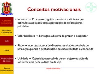 Funções do encéfalo I
Conceitos motivacionais
●
Incentivo Processos cognitivos e afetivos eliciados por→
estímulos associados com a percepção de reforçadores
primários
●
Valor hedônico Sensação subjetiva de prazer e desprazer→
●
Risco Incerteza acerca de diversos resultados possíveis de→
uma ação quando a probabilidade de cada resultado é conhecida
●
Utilidade Capacidade percebida de um objeto ou ação de→
satisfazer uma necessidade ou desejo.
Hipotálamo
e homeostase
Conceitos
motivacionais
Áreas funcionais
do córtex
Sede
Fome
Sensação e
percepção
Controle
motor
Sistema
comportamental
Hipotálamo
e homeostase
Conceitos
motivacionais
Áreas funcionais
do córtex
Sede
Fome
Sistema
comportamental
 
