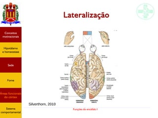 Funções do encéfalo I
Lateralização
Silverthorn, 2010
Hipotálamo
e homeostase
Conceitos
motivacionais
Áreas funcionais
do córtex
Sede
Fome
Sensação e
percepção
Controle
motor
Sistema
comportamental
Hipotálamo
e homeostase
Conceitos
motivacionais
Áreas funcionais
do córtex
Sede
Fome
Sistema
comportamental
 
