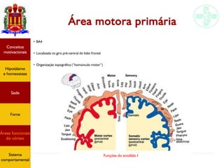 Funções do encéfalo I
Área motora primária
●
BA4
●
Localizada no giro pré-central do lobo frontal
●
Organização topográfica (“homúnculo motor”)
Hipotálamo
e homeostase
Conceitos
motivacionais
Áreas funcionais
do córtex
Sede
Fome
Sistema
comportamental
 