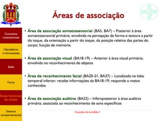 Funções do encéfalo I
Áreas de associação
●
Área de associação somatossensorial (BA5, BA7) – Posterior à área
somatossensorial primária; envolvida na percepção de forma e textura a partir
do toque, da orientação a partir do toque, da posição relativa das partes do
corpo; função de memória.
●
Área de associação visual (BA18-19) – Anterior à área visual primária;
envolvida no reconhecimento de objetos
● Área de reconhecimento facial (BA20-21, BA37) – Localizada no lobo
temporal inferior; recebe informações da BA18-19; responde a rostos
conhecidos
●
Área de associação auditiva (BA22) – Inferoposterior à área auditiva
primária; associada ao reconhecimento de sons específicos
Hipotálamo
e homeostase
Conceitos
motivacionais
Áreas funcionais
do córtex
Sede
Fome
Sistema
comportamental
 