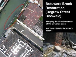 Brouwers Brook Restoration (Degraw Street Bioswale) Mapping the historic streams of the Gowanus Canal Are there clues in t...