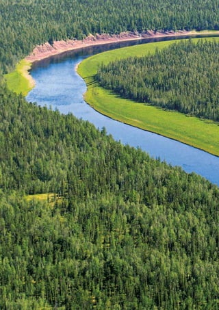 Executive summary




6    Ernst & Young's 2012 Russian attractiveness survey Positioned for growth
 