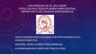 UNIVERSIDAD DE EL SALVADOR
FACULTAD MULTIDISCIPLINARIA PARACENTRAL
DEPARTONTO DE CIENCIAS AGRONOMICAS
TEMA:ENFERMEDADES CAUSADAS POR PROTOZOARIOS EN EL
APARATO DIGESTIVO
DOCENTE: PEDRO ALONSO PEREZ BARRRAZA
ALUMNA:MARIANA YANETH BELTRAN PLATERO
 