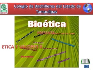   Colegio de Bachilleres del Estado de Tamaulipas PRESENTA ETICA Y VALORES II 