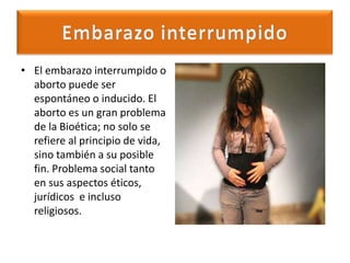 Ingeniería Genética