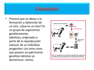 BiodiversidadBLOQUE IIPROBLEMATIZA CONFLICTOS DE LA PRÁCTICA MÉDICA Y LA BIOÉTICA.