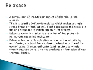  A central part of the Dtr component of plasmids is the
relaxase.
 This is a specific DNA endonuclease which makes a single-
strand break or “nick” at the specific site called the nic site in
the oriT sequence to initiate the transfer process.
 Relaxase works is similar to the action of Rep protein in
rolling-circle plasmid replication.
 Relaxase breaks a phosphodiester bond at the nic site by
transferring the bond from a deoxynucleotide to one of its
own tyrosines(transesterificarion)and requires very little
energy because there is no net breakage or formation of new
chemical bonds.
 