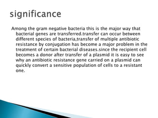 Among the gram negative bacteria this is the major way that
bacterial genes are transferred.transfer can occur between
different species of bacteria,transfer of multiple antibiotic
resistance by conjugation has become a major problem in the
treatment of certain bacterial diseases.since the recipient cell
becomes a donor after transfer of a plasmid it is easy to see
why an antibiotic resistance gene carried on a plasmid can
quickly convert a sensitive population of cells to a resistant
one.
 