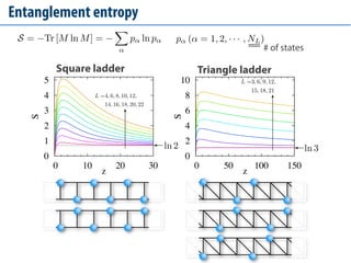 Entanglement Behavior of 2D Quantum Models