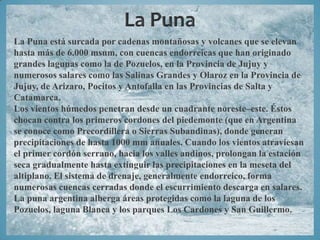 La Puna está surcada por cadenas montañosas y volcanes que se elevan
hasta más de 6.000 msnm, con cuencas endorreicas que han originado
grandes lagunas como la de Pozuelos, en la Provincia de Jujuy y
numerosos salares como las Salinas Grandes y Olaroz en la Provincia de
Jujuy, de Arizaro, Pocitos y Antofalla en las Provincias de Salta y
Catamarca.
Los vientos húmedos penetran desde un cuadrante noreste–este. Éstos
chocan contra los primeros cordones del piedemonte (que en Argentina
se conoce como Precordillera o Sierras Subandinas), donde generan
precipitaciones de hasta 1000 mm anuales. Cuando los vientos atraviesan
el primer cordón serrano, hacia los valles andinos, prolongan la estación
seca gradualmente hasta extinguir las precipitaciones en la meseta del
altiplano. El sistema de drenaje, generalmente endorreico, forma
numerosas cuencas cerradas donde el escurrimiento descarga en salares.
La puna argentina alberga áreas protegidas como la laguna de los
Pozuelos, laguna Blanca y los parques Los Cardones y San Guillermo.
 