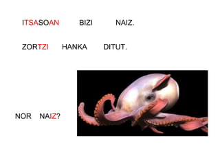 ITSASOAN
ZORTZI
NOR NAIZ?
BIZI NAIZ.
HANKA DITUT.
 
