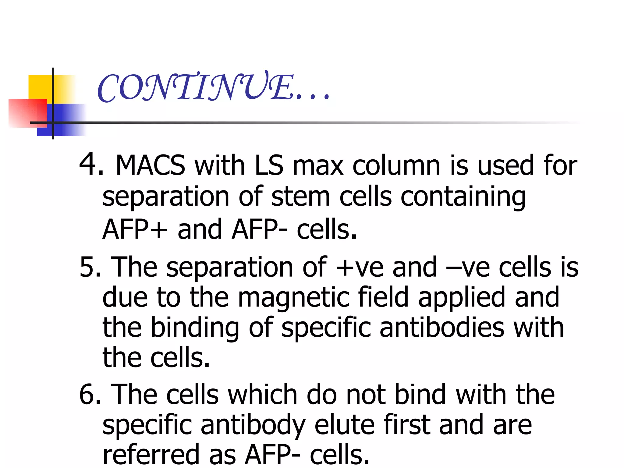 CONTINUE… 4.  MACS with LS max column is used for separation of stem cells containing AFP+ and AFP- cells . 5. The separation of +ve and –ve cells is due to the magnetic field applied and the binding of specific antibodies with the cells. 6. The cells which do not bind with the specific antibody elute first and are referred as AFP- cells.  