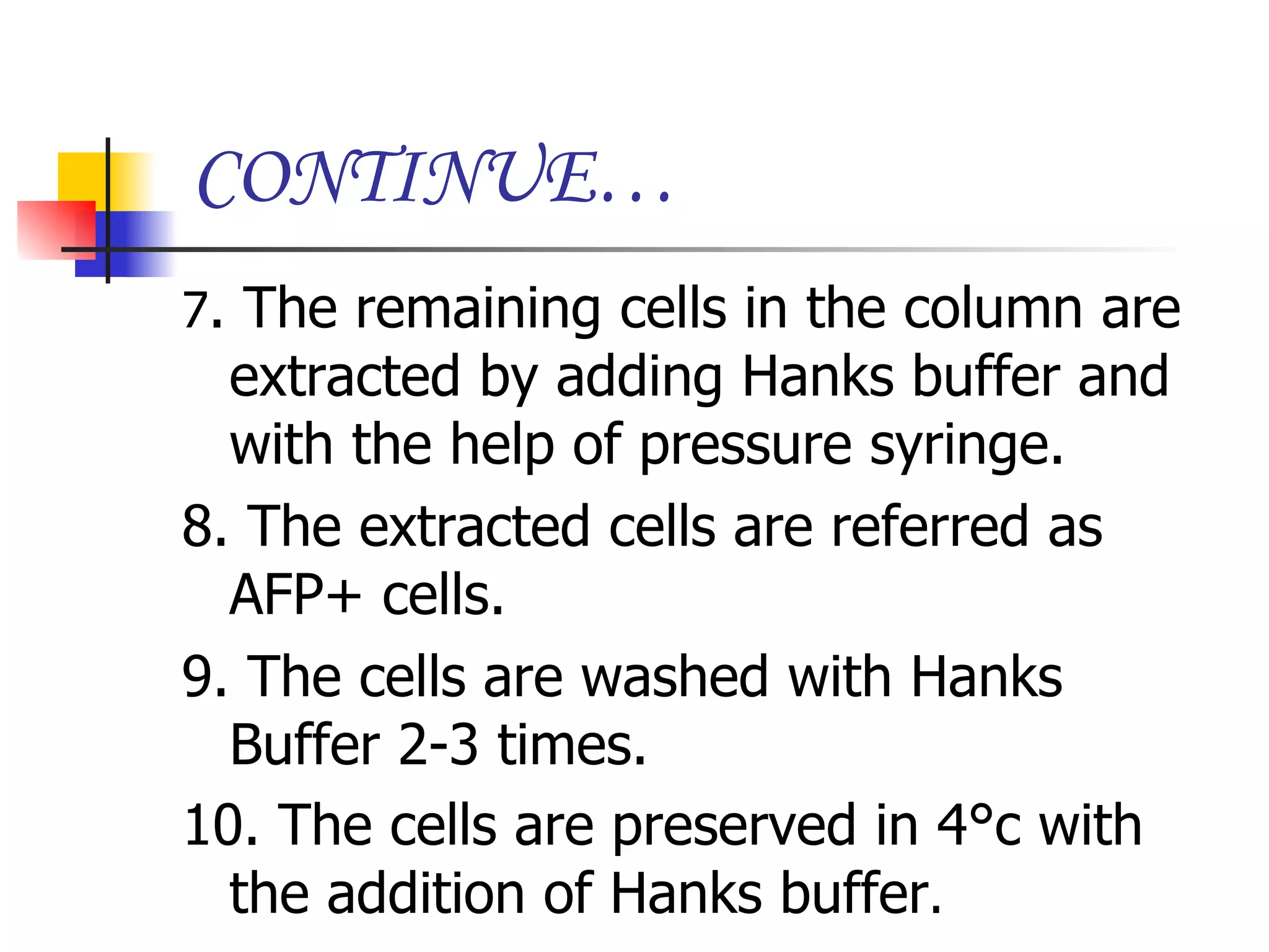 CONTINUE… 7 . The remaining cells in the column are extracted by adding Hanks buffer and with the help of pressure syringe. 8. The extracted cells are referred as AFP+ cells. 9. The cells are washed with Hanks Buffer 2-3 times. 10. The cells are preserved in 4 °c with the addition of Hanks buffer .   