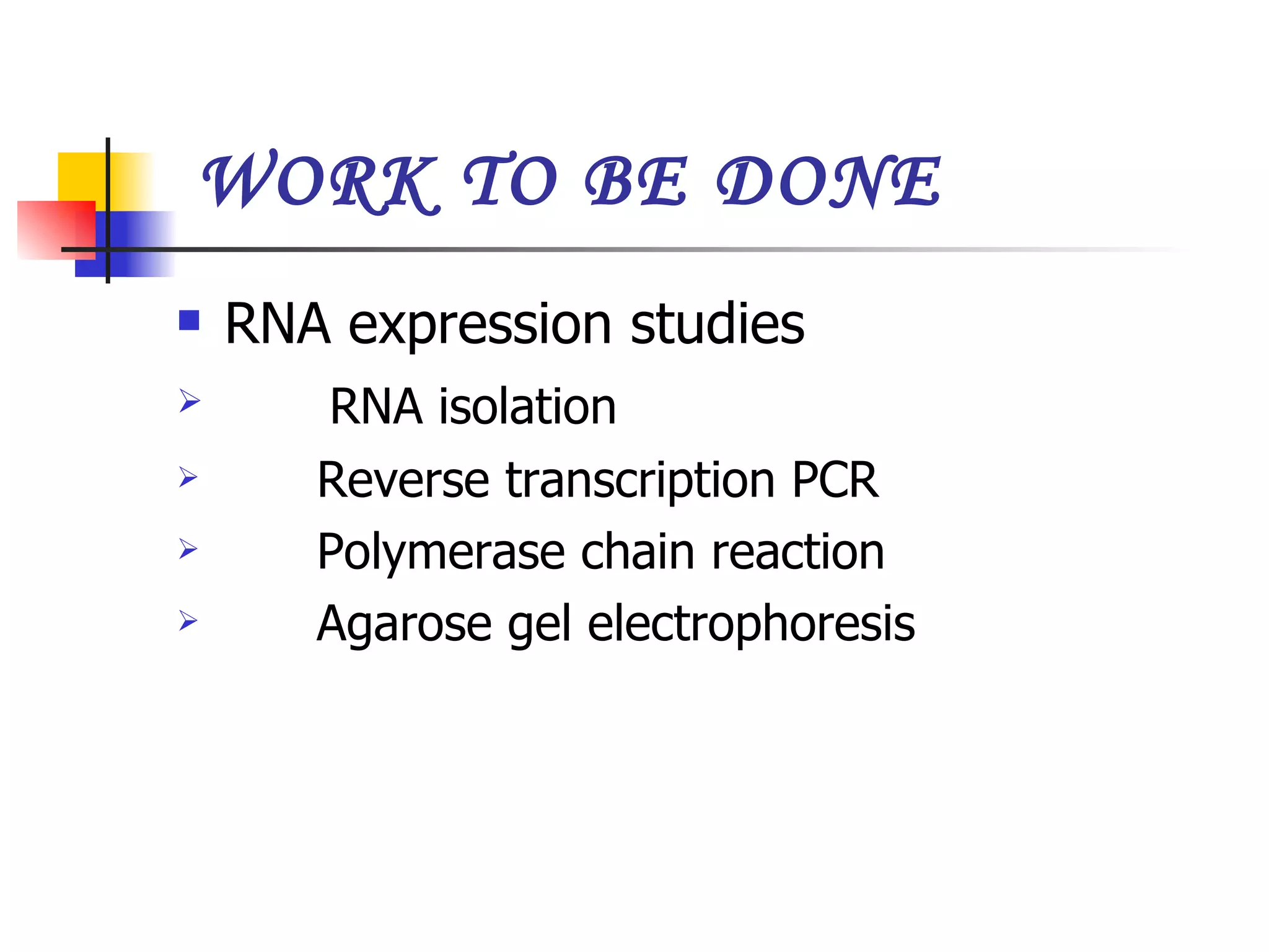 WORK TO BE DONE RNA expression studies RNA isolation Reverse transcription PCR Polymerase chain reaction Agarose gel electrophoresis  