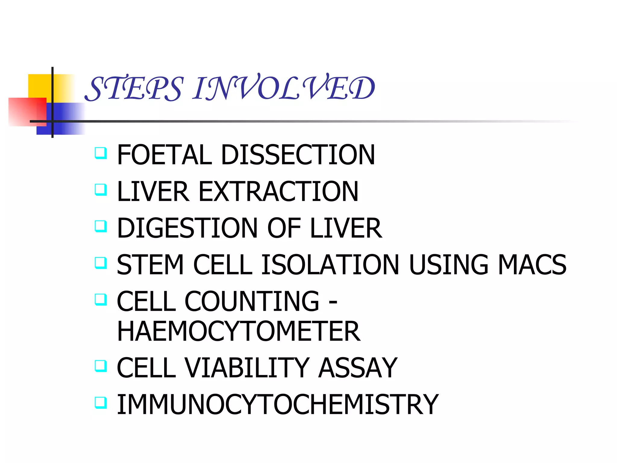 STEPS INVOLVED FOETAL DISSECTION LIVER EXTRACTION DIGESTION OF LIVER STEM CELL ISOLATION USING MACS CELL COUNTING - HAEMOCYTOMETER CELL VIABILITY ASSAY IMMUNOCYTOCHEMISTRY 