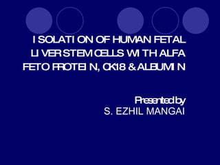 ISOLATION OF HUMAN FETAL LIVER STEM CELLS WITH ALFA FETO PROTEIN, CK18  & ALBUMIN Presented by   S. EZHIL MANGAI   