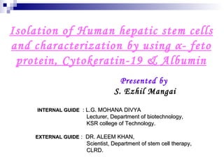 Isolation of Human hepatic stem cells and characterization by using  α - feto protein, Cytokeratin-19 & Albumin Presented by S. Ezhil Mangai   INTERNAL GUIDE   : L.G. MOHANA DIVYA   Lecturer, Department of biotechnology,    KSR college of Technology. EXTERNAL GUIDE  :  DR. ALEEM KHAN,   Scientist, Department of stem cell therapy,   CLRD. 