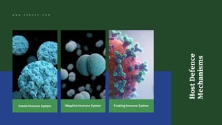 Innate Immune System Adaptive Immune System Evading Immune System
HostDefence
Mechanisms
W W W . E Z K A R E . C O M
 