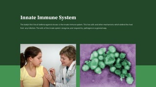 Innate Immune System
The body's first line of defence against viruses is the innate immune system. This has cells and other mechanisms which defend the host
from any infection. The cells of the innate system recognise, and respond to, pathogensin a general way.
 