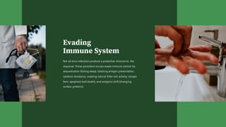 Evading
Immune System
Not all virus infections produce a protective immune to the
response. These persistent viruses evade immune control by
sequestration (hiding away); blocking antigen presentation;
cytokine resistance; evading natural killer cell activity; escape
from apoptosis (cell death), and antigenic shift (changing
surface proteins).
 