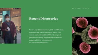 Recent Discoveries
A recent project discovered nearly 1500 new RNA viruses
by sampling over the 200 invertebrate species. "The
research team... extracted their RNA and, using next
generation sequencing, deciphered the sequence of a
staggering 6 trillion letters present in
the invertebrate RNA libraries".
W W W . E Z K A R E . C O M
 