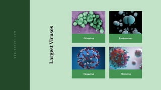 LargestViruses
Pithovirus
Megavirus
Pandoravirus
Mimivirus
WWW.EZKARE.COM
 