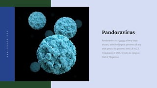 Pandoravirus
Pandoravirus is a genus of very large
viruses, with the largest genomes of any
viral genus. Its genome, with 1.9 to 2.5
megabases of DNA, is twice as large as
that of Megavirus.
WWW.EZKARE.COM
 