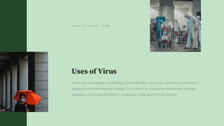 Uses of Virus
Viruses are used widely in cell biology. Geneticists often use viruses as vectors to introduce
genes into cells that they are studying. This is useful for making the cell produce a foreign
substance, or to study the effect of introducing a new gene into the genome.
W W W . E Z K A R E . C O M
 