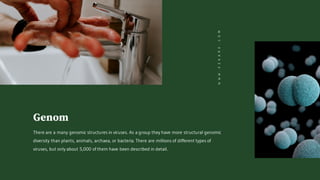 Genom
There are a many genomic structures in viruses. As a group they have more structural genomic
diversity than plants, animals, archaea, or bacteria. There are millions of different types of
viruses, but only about 5,000 of them have been described in detail.
WWW.EZKARE.COM
 