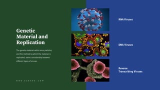 RNA Viruses
DNA Viruses
Reverse
Transcribing Viruses
Genetic
Material and
Replication
The genetic material within virus particles,
and the method by which the material is
replicated, varies considerably between
different types of viruses.
W W W . E Z K A R E . C O M
 