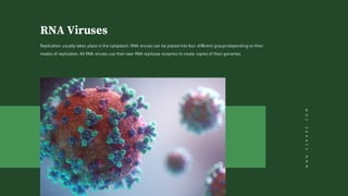 RNA Viruses
Replication usually takes place in the cytoplasm. RNA viruses can be placed into four different groupsdepending on their
modes of replication. All RNA viruses use their own RNA replicase enzymes to create copies of their genomes.
WWW.EZKARE.COM
 