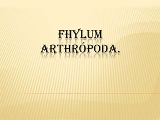 FHYLUM
ARTHRÓPODA.
 