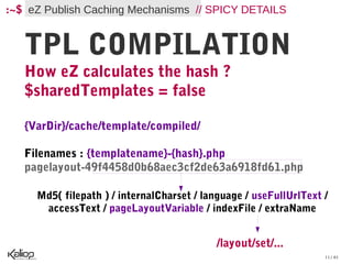 :~$ eZ Publish Caching Mechanisms // SPICY DETAILS


   TPL COMPILATION
   How eZ calculates the hash ?
   $sharedTemplates = false

   {VarDir}/cache/template/compiled/

   Filenames : {templatename}-{hash}.php
   pagelayout-49f4458d0b68aec3cf2de63a6918fd61.php

     Md5( filepath ) / internalCharset / language / useFullUrlText /
      accessText / pageLayoutVariable / indexFile / extraName


                                           /layout/set/...
                                                                   11 / 61
 