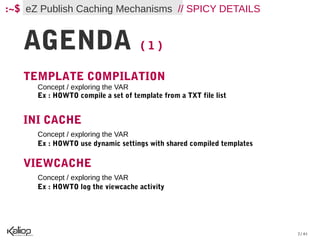 :~$ eZ Publish Caching Mechanisms // SPICY DETAILS


   AGENDA                            (1)

   TEMPLATE COMPILATION
      Concept / exploring the VAR
      Ex : HOWTO compile a set of template from a TXT file list


   INI CACHE
      Concept / exploring the VAR
      Ex : HOWTO use dynamic settings with shared compiled templates

   VIEWCACHE
      Concept / exploring the VAR
      Ex : HOWTO log the viewcache activity




                                                                       2 / 61
 
