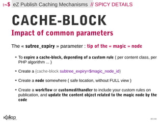 :~$ eZ Publish Caching Mechanisms // SPICY DETAILS


   CACHE-BLOCK
   Impact of common parameters
   The « sutree_expiry » parameter : tip of the « magic » node

    ➔   To expire a cache-block, depending of a custom rule ( per content class, per
        PHP algorithm ... )

    ➔   Create a {cache-block subtree_expiry=$magic_node_id}

    ➔   Create a node somewhere ( safe location, without FULL view )

    ➔   Create a workflow or customedithandler to include your custom rules on
        publication, and update the content object related to the magic node by the
        code



                                                                                43 / 61
 