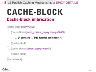 :~$ eZ Publish Caching Mechanisms // SPICY DETAILS


   CACHE-BLOCK
   Cache-block imbrication
   {cache-block expiry=3600}
   ...
       {cache-block ignore_content_expiry expiry=86400}

            ... {* you save … SQL Queries each hours *}

         {/cache-block}
   ...
         {cache-block subtree_expiry='news/'}
             ...
         {/cache-block}
   ...
   {/cache-block}



                                                          44 / 61
 