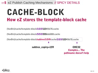 :~$ eZ Publish Caching Mechanisms // SPICY DETAILS


   CACHE-BLOCK
   How eZ stores the template-block cache
   {VarDir}/cache/template-block/1/2/3/12345678.cache

   {VarDir}/cache/template-block/5/5/5/555666888.cache

   {VarDir}/cache/template-block/subtree/1/5/9/cache/1/2/3/12345678.cache


                           subtree_expiry=159                    CRC32
                                                             Complex... The
                                                          pathname doesn't help




                                                                                  46 / 61
 