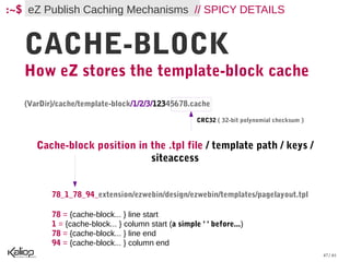 :~$ eZ Publish Caching Mechanisms // SPICY DETAILS


   CACHE-BLOCK
   How eZ stores the template-block cache
   {VarDir}/cache/template-block/1/2/3/12345678.cache

                                                      CRC32 ( 32-bit polynomial checksum )



      Cache-block position in the .tpl file / template path / keys /
                              siteaccess


          78_1_78_94_extension/ezwebin/design/ezwebin/templates/pagelayout.tpl

          78 = {cache-block... } line start
          1 = {cache-block... } column start (a simple ' ' before...)
          78 = {cache-block... } line end
          94 = {cache-block... } column end
                                                                                             47 / 61
 