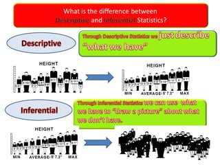 D Ezz Abdelfattah
What is the difference between
and Statistics?
19
 