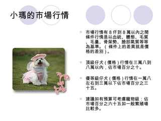 小瑪的市場行情 市場行情有 8 仟到 8 萬以內之間條件行情是以血統、體態、毛質、毛量、骨架勢、臉部氣質等等為基準。 (  條件上的差異就是價格的差別 ) 。 頂級仔犬 ( 價格 ) 行情在三萬八到八萬以內，佔市場百分之十。 優等級仔犬 ( 價格 ) 行情在一萬八左右到三萬以下佔市場百分之三十五。 建議如有預算可考慮寵物級：佔市場百分之六十五如一般繁殖場比較多。  