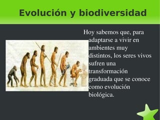 Evolución y biodiversidad ,[object Object]